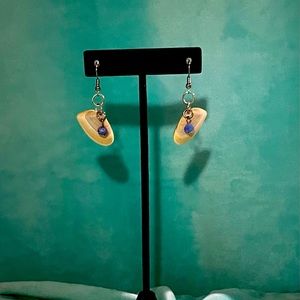 Coquina Seashell Earrings